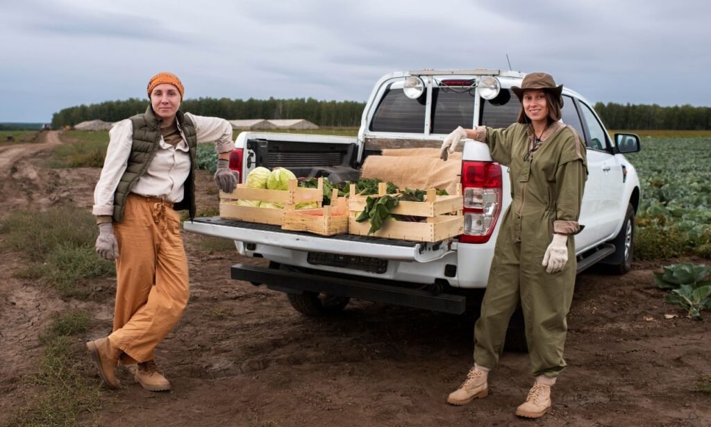 Junk Removal Cost in Dallas