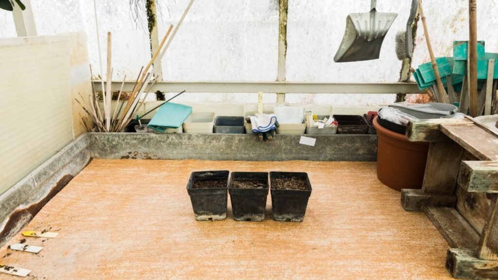 Garage Cleanout Service